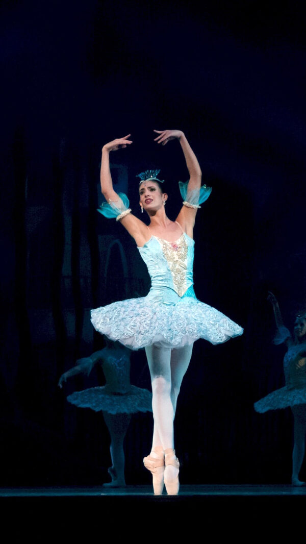 ballet-ballerina-performance-don-quixote-46158.jpg ballet-ballerina-performance-don-quixote-46158.jpg
